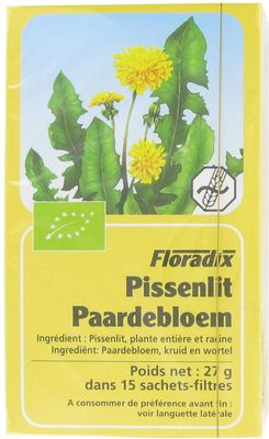 Floradix Paardenbloem Thee 15 zakjes