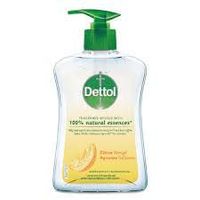 Dettol Wasgel citrus (250 ml)