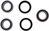ALL BALLS Racing Wheel bearing sets 25-125 complete with simmerrings