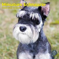 Miniatuur Schnauzer Kalender 2026