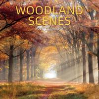 Woodland Scenes Kalender 2026 Woodland Scenes Kalender 2026