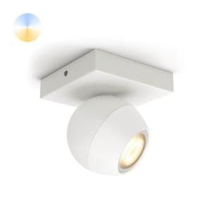 Philips Witte plafondspot Hue Buckram - White Ambiance met Hue dimmer 929003048601