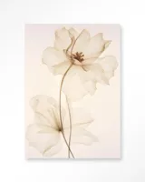 White Flowers