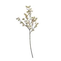 Bloesemsteel l103 cm creme kunstbloem zijde nepbloem - Jasaco