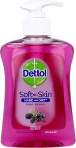 Dettol Dettol Handzeep Pompje Winterbessen - 250 ml.