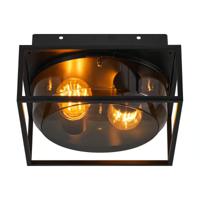 Plafondlamp zwart industrieel met E27 fitting en smokeglas 'Griffin' - thumbnail