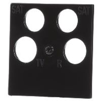 025910  - Central cover plate 025910