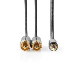 Nedis CATB22200GY50 stereo audiokabel 3.5mm male - 2x RCA male 5 meter