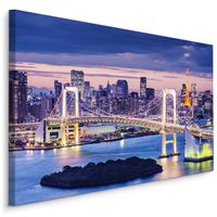 Schilderij - Regenboogbrug Tokio, multi-gekleurd, premium print