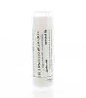 Homeoden Heel Symphytum officinale D12 6 Gram