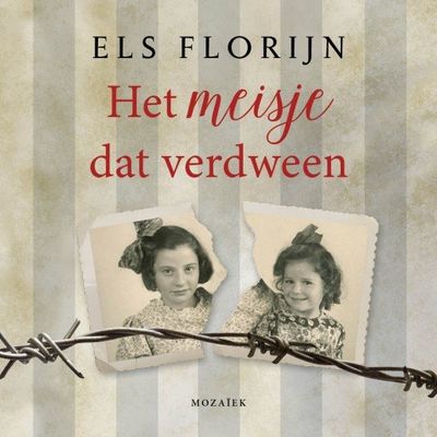 Het meisje dat verdween