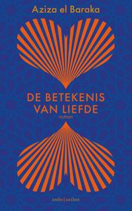 De betekenis van liefde - Aziza el Baraka - ebook