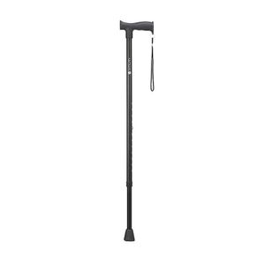 Wandelstok zwart