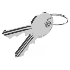 Schlüssel 101 (Paar)  - Special lock system for enclosure Schlüssel 101 ( set)