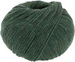 Lana Grossa Cool Merino Uni 019 Donkergroen