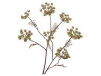Dilletak l105 cm groen - Silkka