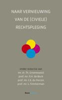 Naar vernieuwing van de (civiele) rechtspleging (Paperback)