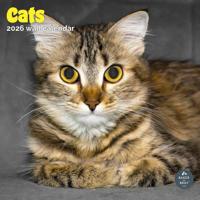 Katten Kalender 2026