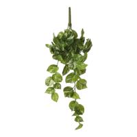 Decoratieve plant Mica Decorations Potos 14 x 58 x 20 cm Hanger
