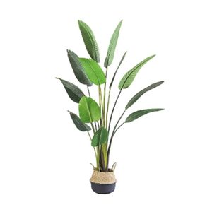 Kunstplant Blad Strelitzia Soft 160 cm