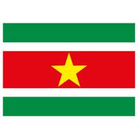 Vlag van Suriname stickers - 10x stuks - 7.5 x 10 cm - Binnen/buiten