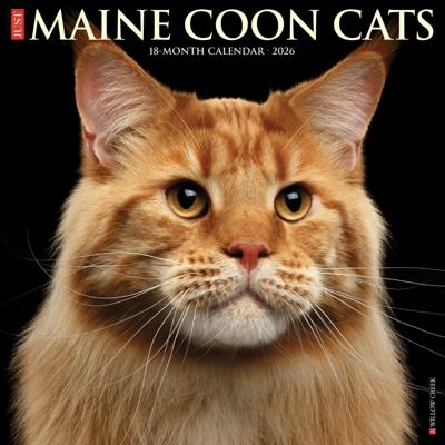 Maine Coon Kalender 2026