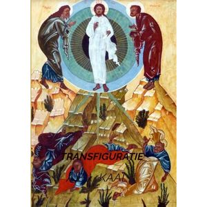 Transfiguratie - (ISBN:9789464350883)