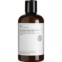 Evolve Organic Beauty Superfood Shine Conditioner 250ml