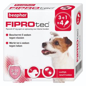 Beaphar Fiprotec Spot-On Hond 2-10kg - 4 pip