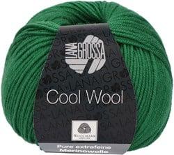 Lana Grossa Cool Wool 2017 Groen