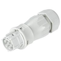 Wieland Electric 96.051.4553.0 Steekverbinder