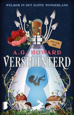 Versplinterd (Hardback)
