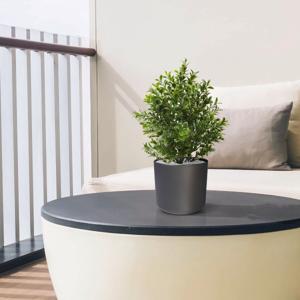 Buxus kunstplant 30cm in pot - UV bestendig