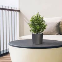 Buxus kunstplant 30cm in pot - UV bestendig
