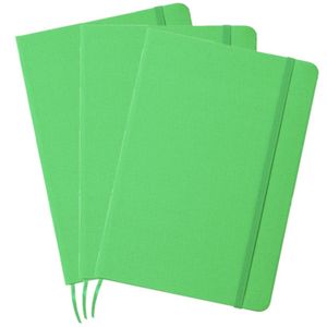 Set van 3x stuks luxe schriftjes/notitieboekjes groen met elastiek A5 formaat