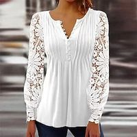 Dames Kanten overhemd Blouse Geklede topjes Effen Kleur Geplooid Lapwerk Casual Dagelijks Elegant Modieus Basic Lange mouw Gekerfde nek Zwart Lente Herfst Lightinthebox