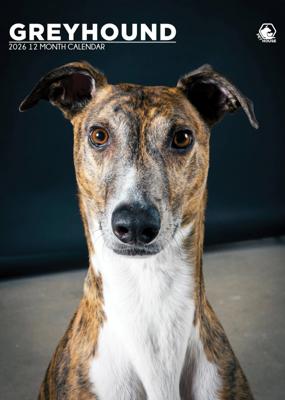 Greyhound A3 Kalender 2026