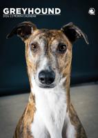 Greyhound A3 Kalender 2026