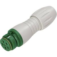 binder 99 9114 470 05 Ronde subminiatuurconnector Koppeling, recht Totaal aantal polen: 5 1 stuk(s)