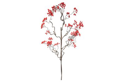 Zijde Crataegus berry rood