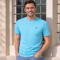 Heren T-shirt Dronten | Felblauw