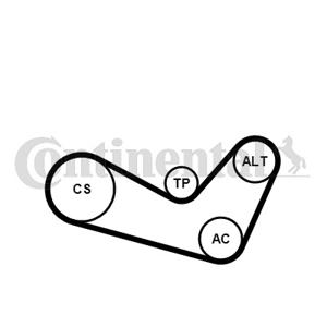 Poly V-riem set CONTINENTAL CTAM, u.a. für Skoda, VW, Seat, Audi