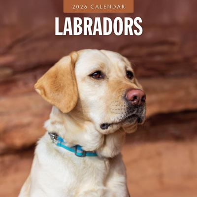 Labrador Retriever Mixed Kalender 2026