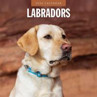 Labrador Retriever Mixed Kalender 2026
