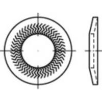 Grendelschijven 10 mm 27.25 mm Verenstaal Verzinkt 250 stuk(s) 159411