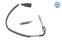 Sensor, uitlaatgastemperatuur 1148000175
