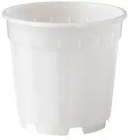 Nature Orchidee Pot Transparant Ø12cm