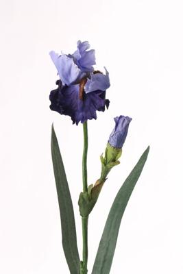 Blauwe lis Iris bloeiend de luxe x2 1 bloem & 1 knop & 2 feel real bladeren 71 cm - Top art