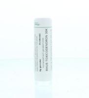 Homeoden Heel Rhus toxicodendron 30K 6 Gram