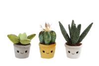 Take Me Home plant pluche L 3 ass 19-27 cm